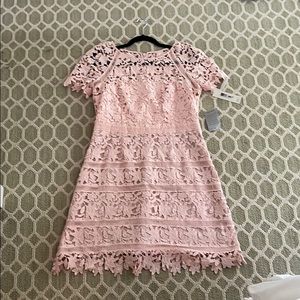 Eliza J lace dress